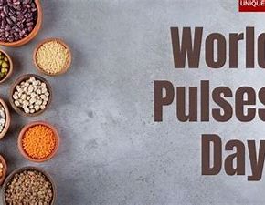 World Pulse Day